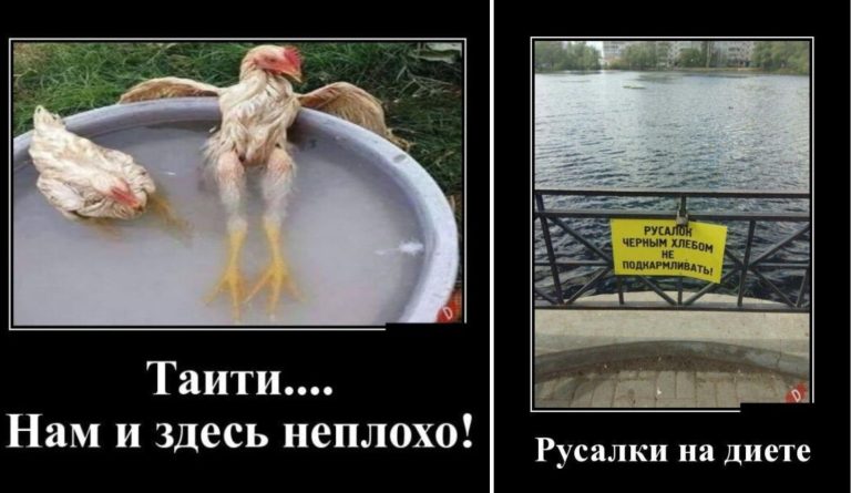 Новые демотиваторы и Таити