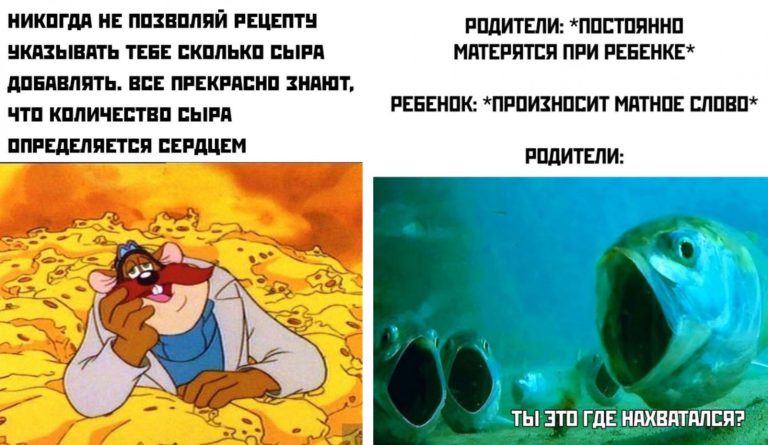Прикольные картинки с надписями и количество сыра