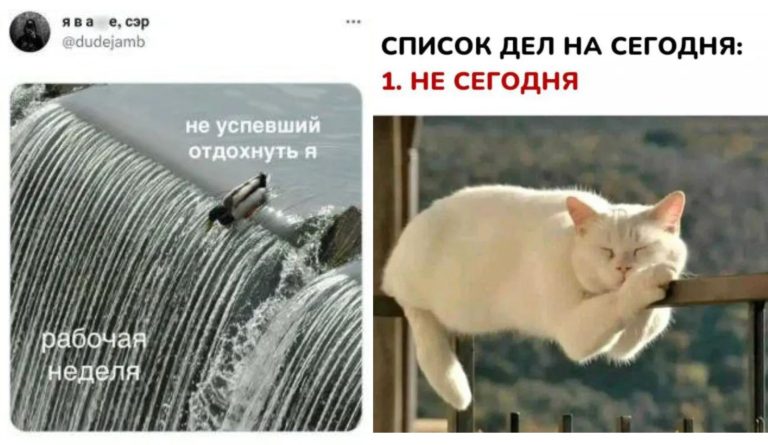 Скажем делам «Не сегодня»: пост мемов и приколов про лень