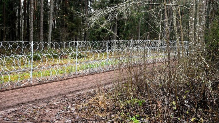 В Краславском крае задержали нелегалов из Беларуси