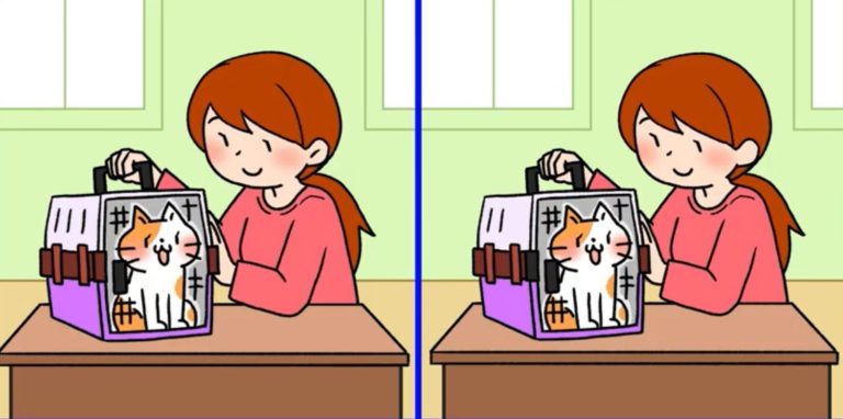 IQ-тест для любителей котиков: найди отличия между изображениями ветеринара, осматривающего кошку
