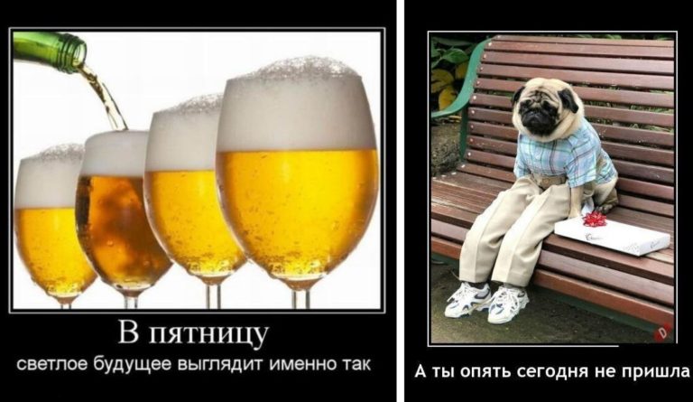 Новые демотиваторы и пятница