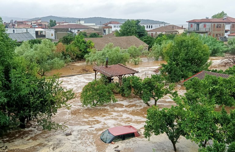 В результате шторма в Греции погибли более 200 тысяч животных