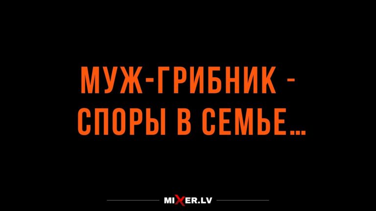 Юмор за день и споры в семье
