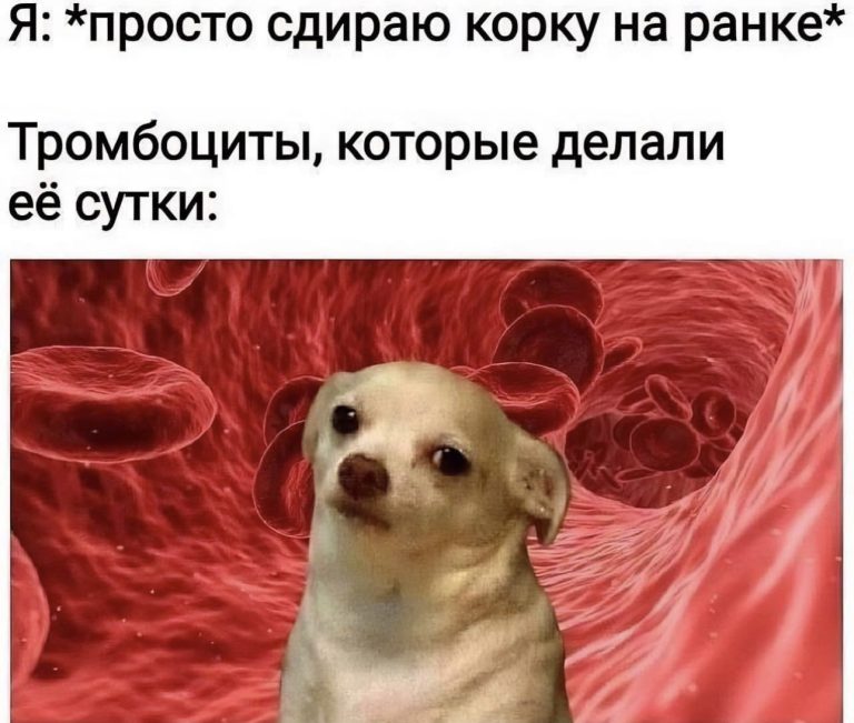 Юмор за день и один сантиметр