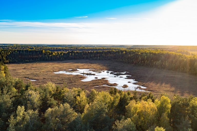 На болоте Медема проложили новую пешеходную тропу