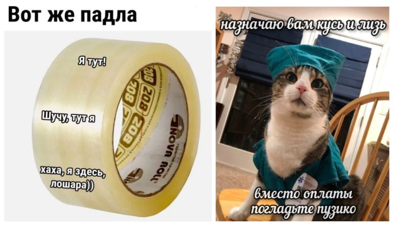 Прикольные картинки с надписями и то, что котик прописал