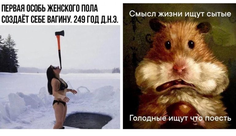 Прикольные картинки с надписями и cмысл жизни