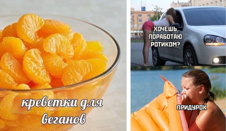 Прикольные картинки с надписями и креветки для веганов