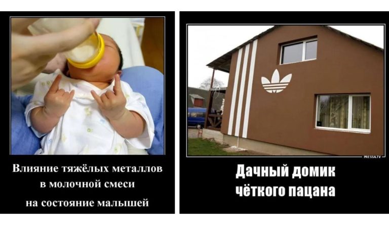 Новые демотиваторы и дачный домик
