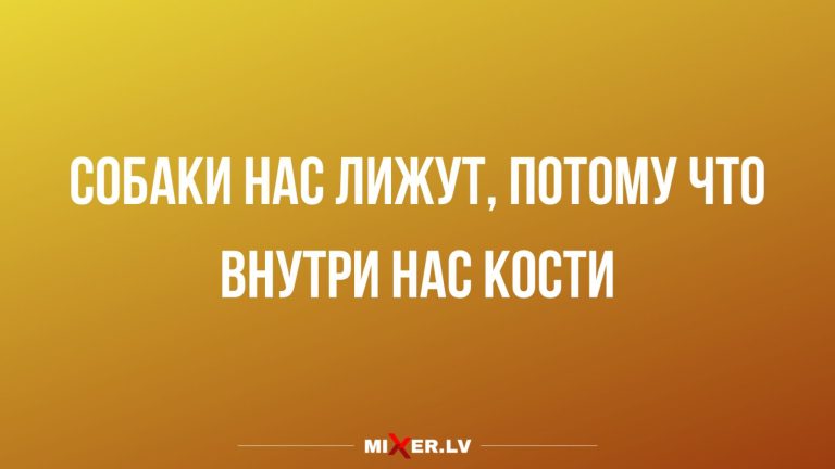 Юмор за день и за что нас любят собаки
