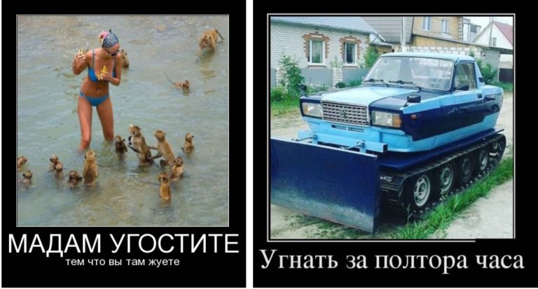 Новые демотиваторы и угон машины