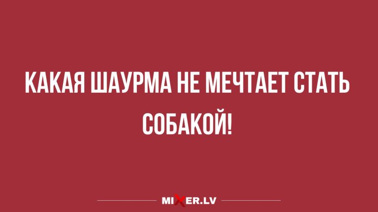 Юмор за день и мечта шаурмы