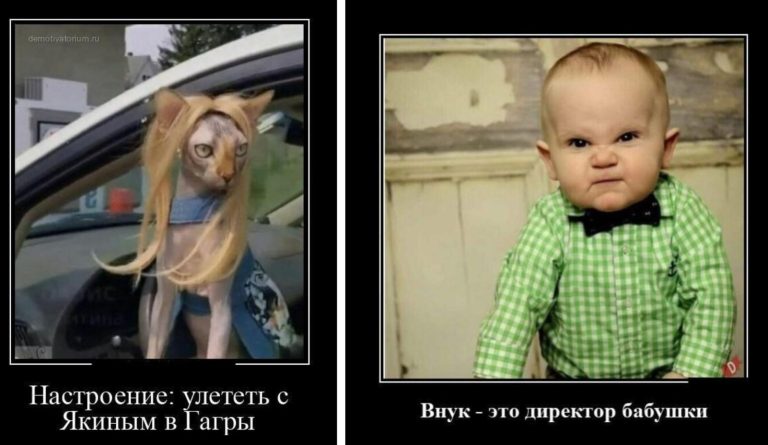 Новые демотиваторы и улететь в Гагры