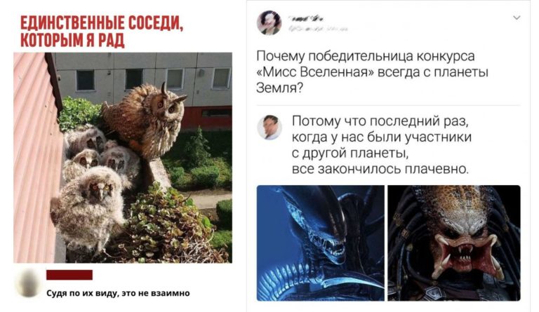 Забавные комментарии, которые как острый соус приправляют сам пост