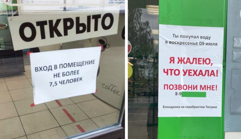 Пропала кошка шпроного окраса: 19 забавных объявлений
