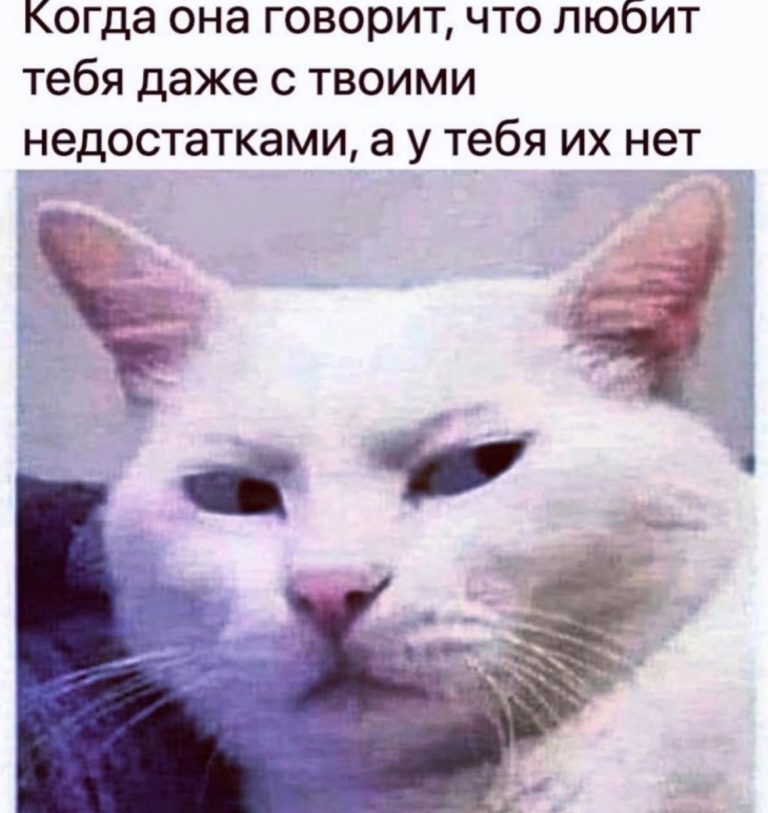 Юмор за день и Омар Хайям