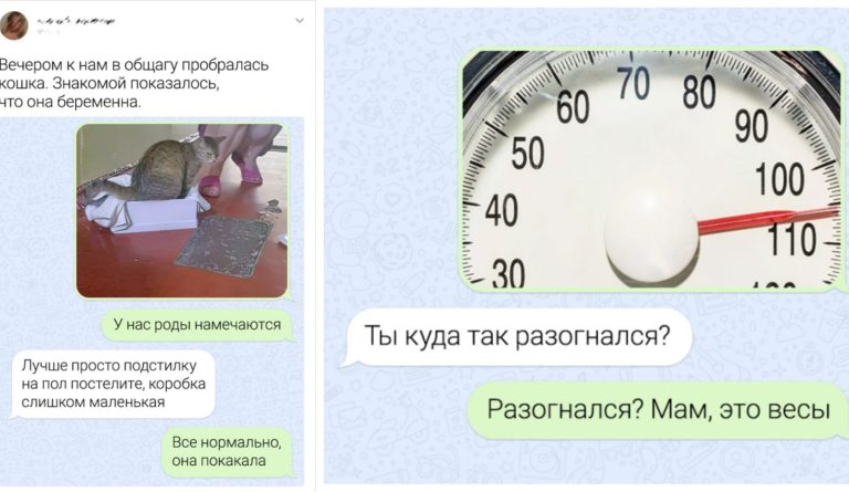 Смешных смс-переписок много не бывает: 20 свежих примеров