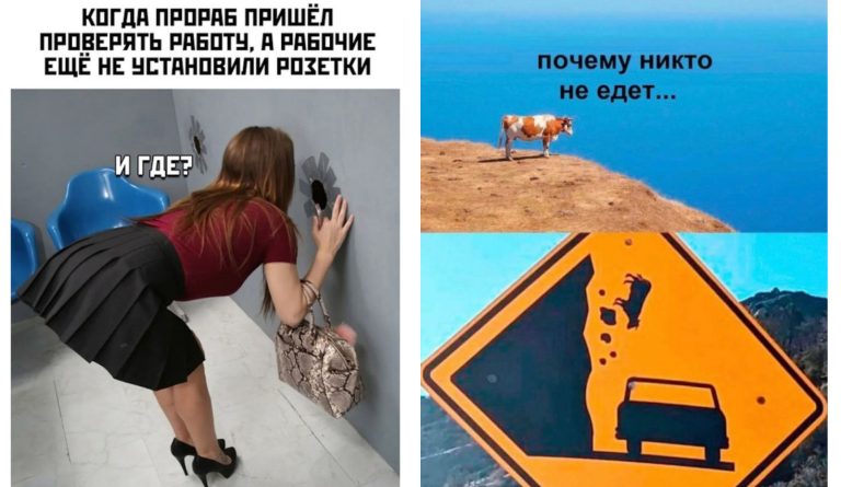 Прикольные картинки с надписями и летящая корова
