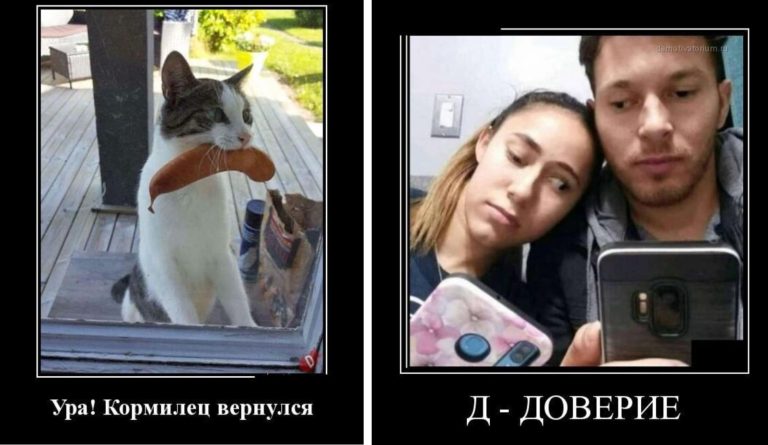 Новые демотиваторы и недоверие