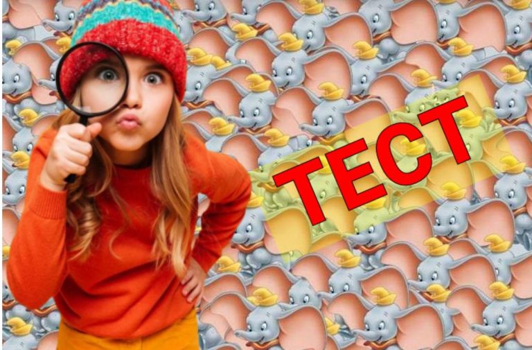 ТЕСТ IQ: найдите на фотографии кошку, спрятанную среди слонят, за 7 секунд!