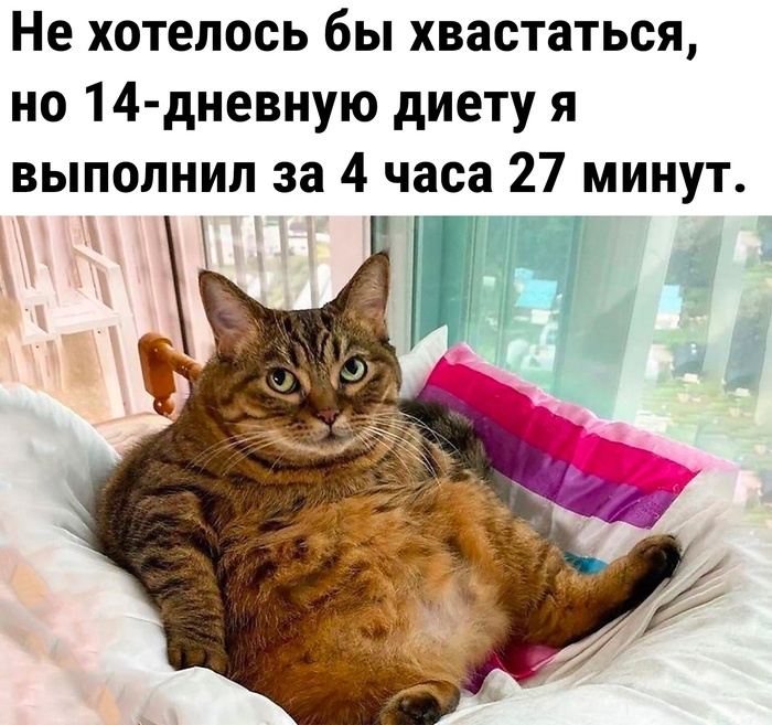 Как похудеть всерьез и надолго: 6 простых правил от профессионального нутрициолога