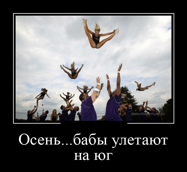 Новые демотиваторы и улетаем на юг
