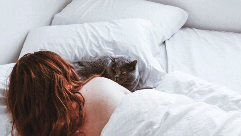 Что делать, если кошка постоянно мешает вам спать по ночам?