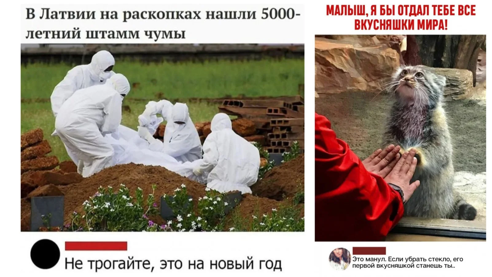 Забавные комментарии, которые как острый соус приправляют сам пост