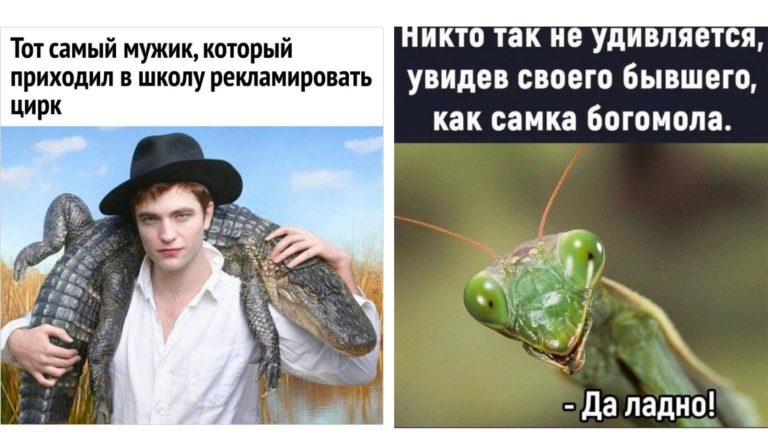 Прикольные картинки с надписями и реклама цирка
