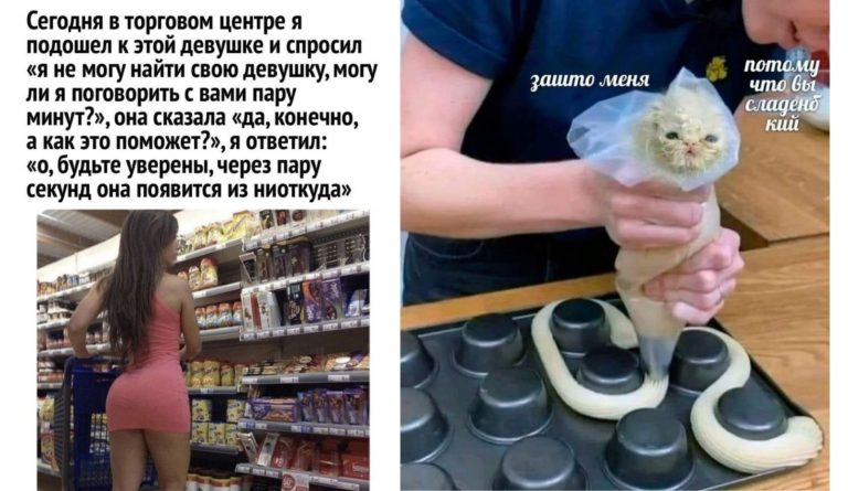 Прикольные картинки с надписями и сладенький котик