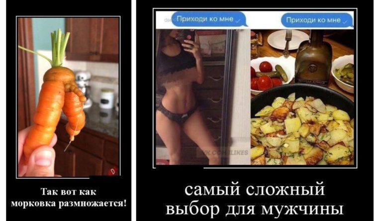 Новые демотиваторы и размножение моркови
