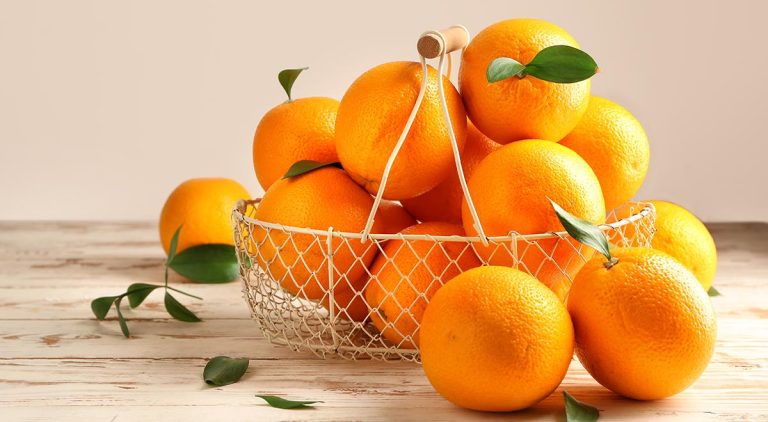 Ум в тарелке: 11 продуктов для лучшей памяти и концентрации