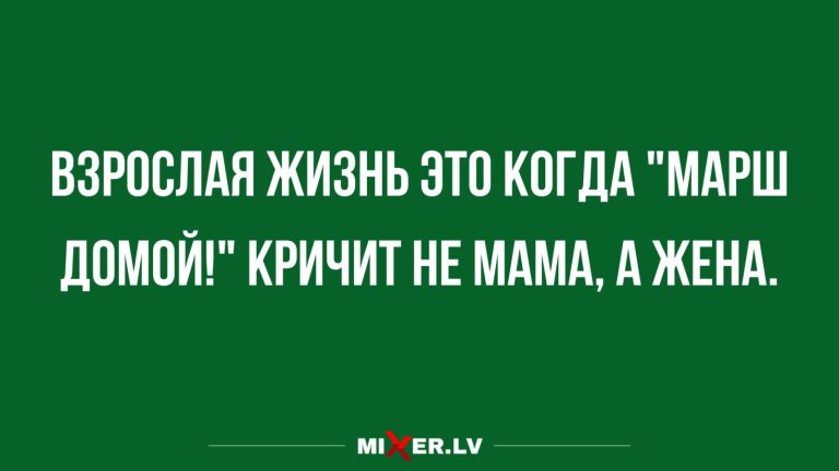 Юмор за день взрослая жизнь