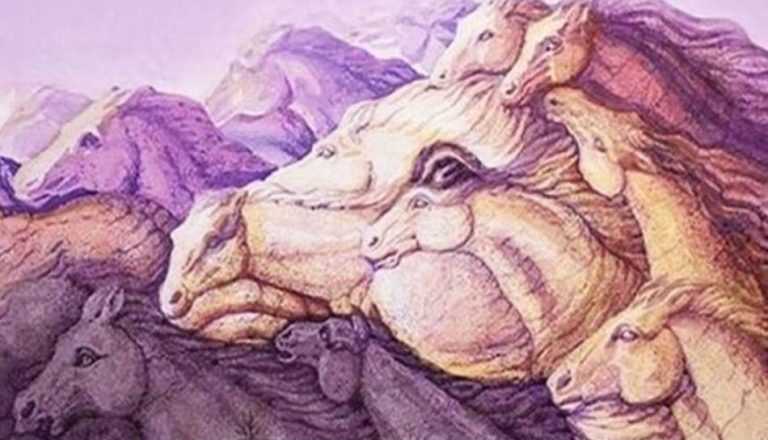 Тест личности: сколько лошадей вы видите на фото? Вы перфекционист или слишком уверены в себе?