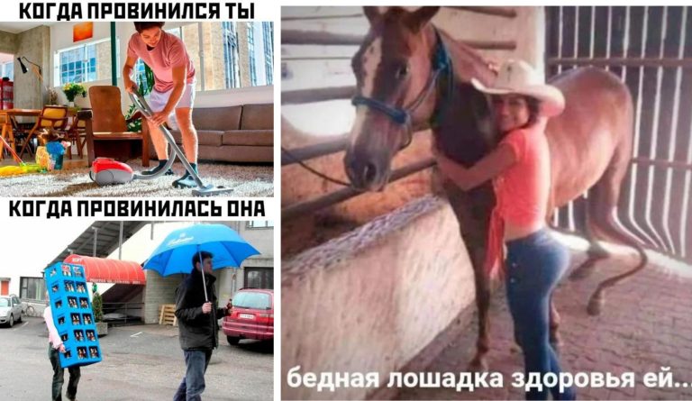 Прикольные картинки с надписями и когда провинился ты