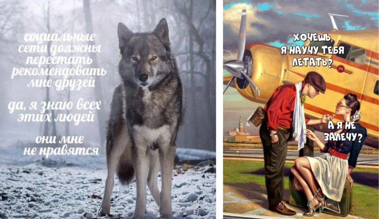 Прикольные картинки с надписями и научу тебя летать