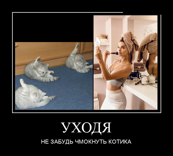 Новые демотиваторы и уходя чмокни котика