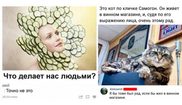 Забавные комментарии, которые как острый соус приправляют сам пост