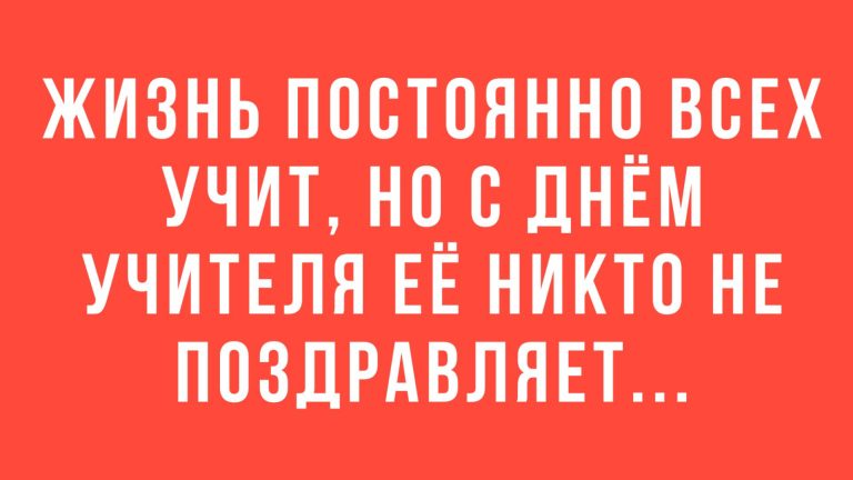 Юмор за день и день учителя