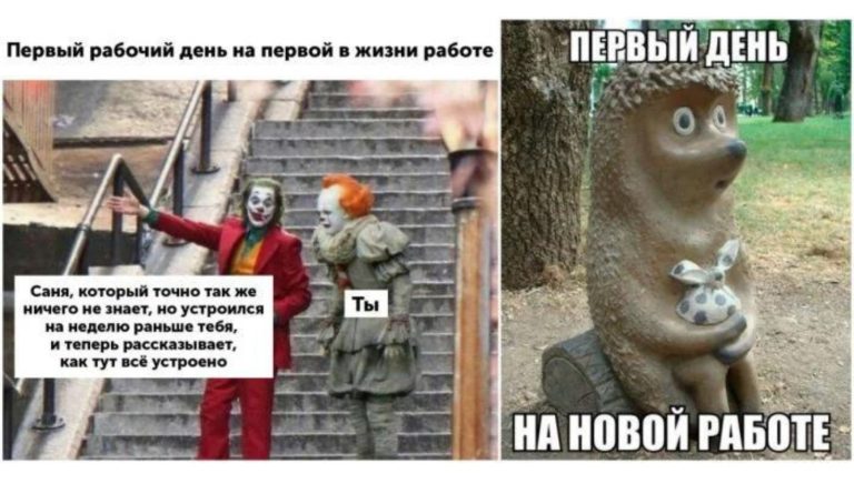 На первую зарплату купила хомяка: люди рассказали про свою первую работу
