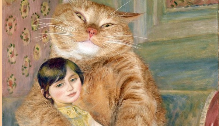 5 самых нежных пород кошек. Будут сидеть на руках и «разговаривать»