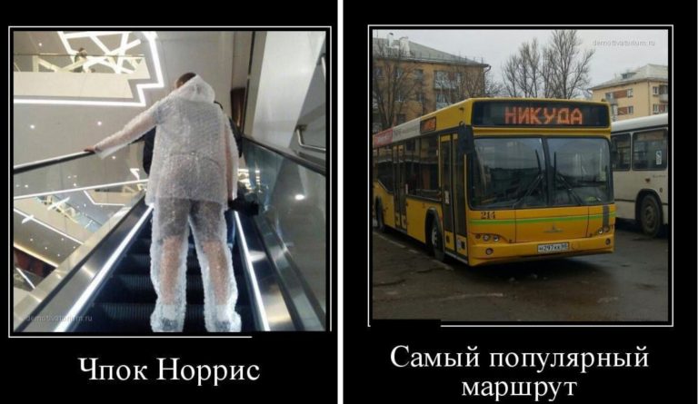 Новые демотиваторы и Чпок Норрис