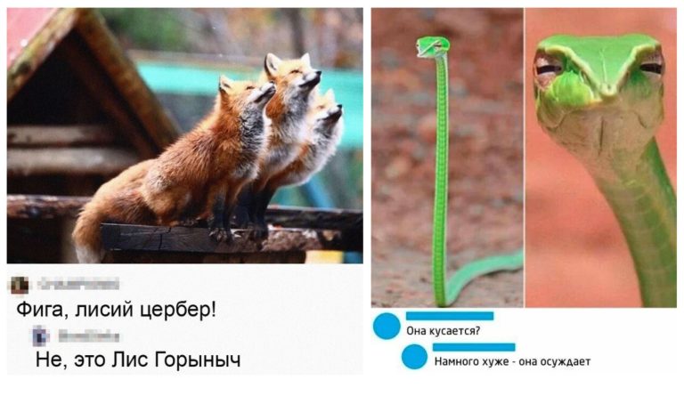 Забавные комментарии, которые как острый соус приправляют сам пост