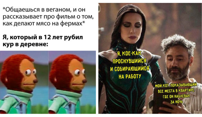 Прикольные картинки с надписями и общение с веганом
