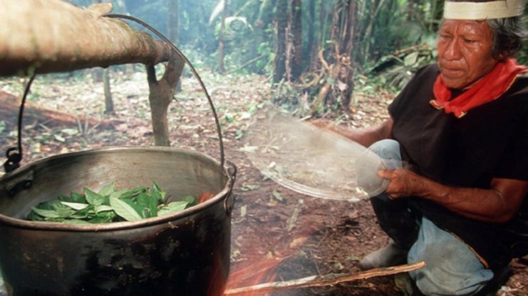 На Кипре суд оправдал колумбийского шамана по делу о смерти женщины из Латвии