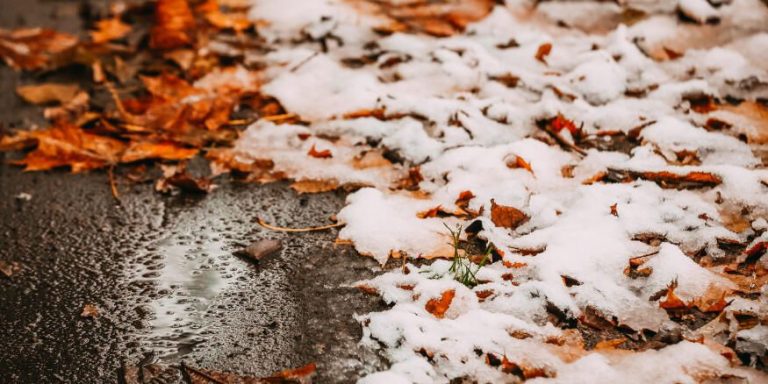Во вторник в некоторых районах Латвии пройдет мокрый снег