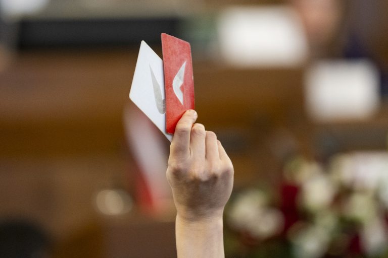Берзиня предлагает автоматическую аннуляцию мандатов за неявку на заседания думы