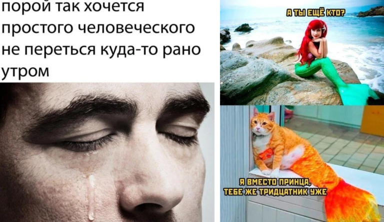 Прикольные картинки с надписями и русалочка