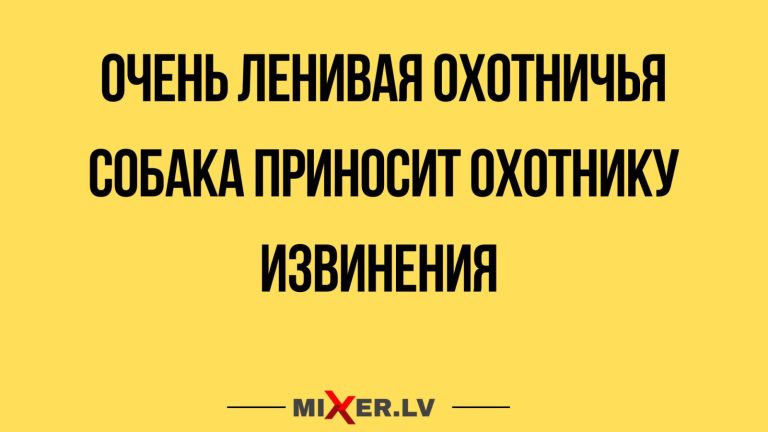 Юмор за день и ленивая собака